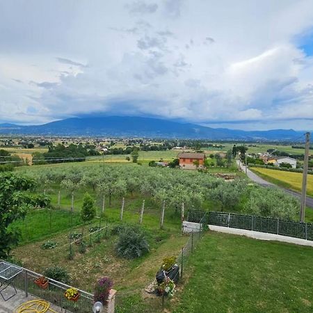 Delizioso Appartamento Collinare Limigiano Exterior foto